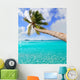Palm Tree Tropical Perfect