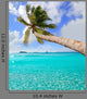 Palm Tree Tropical Perfect