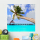 Palm Tree Tropical Perfect