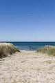 Die Weite Der Ostsee Wall Decal