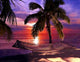 Hamac Mers Du Sud Wall Decal