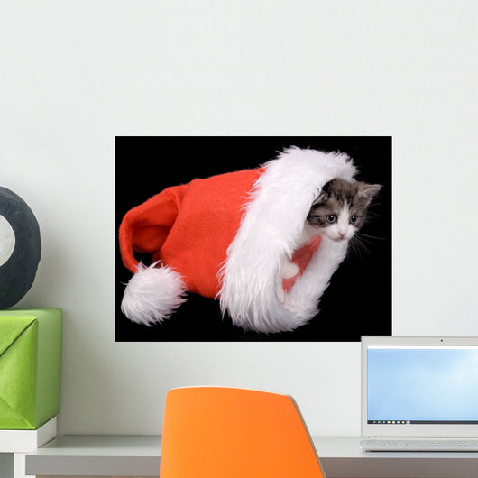Kitten Santa Claus Hat Wall Mural