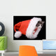 Kitten Santa Claus Hat Wall Mural