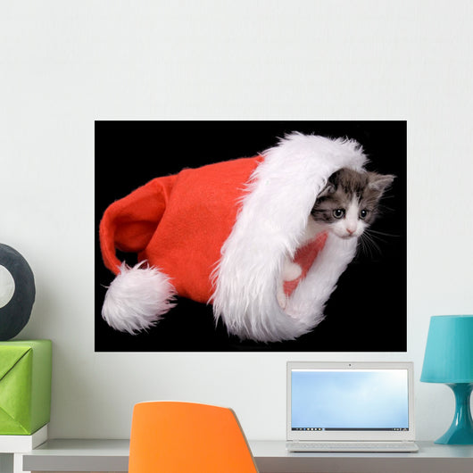 Kitten Santa Claus Hat Wall Mural