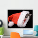 Kitten Santa Claus Hat Wall Mural