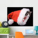 Kitten Santa Claus Hat Wall Mural