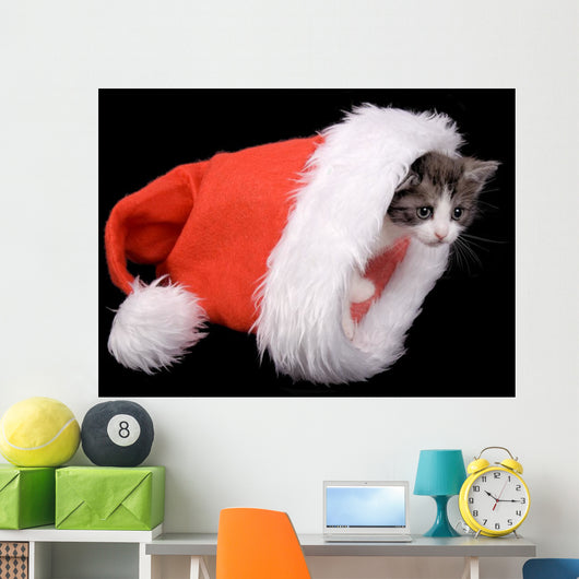 Kitten Santa Claus Hat Wall Mural