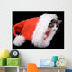 Kitten Santa Claus Hat Wall Mural