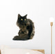 Black Maine Coon Cat Wall Decal