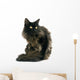 Black Maine Coon Cat Wall Decal