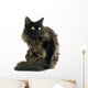 Black Maine Coon Cat Wall Decal