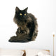 Black Maine Coon Cat Wall Decal