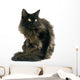Black Maine Coon Cat Wall Decal
