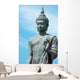 Big Buddha with Blue