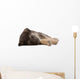 sleeping puppy dog, isolated Wall Decal