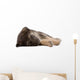 sleeping puppy dog, isolated Wall Decal