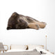 sleeping puppy dog, isolated Wall Decal