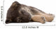 sleeping puppy dog, isolated Wall Decal