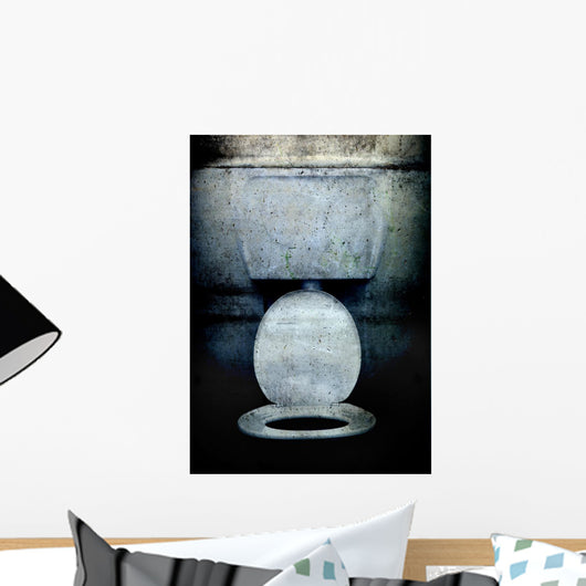 Grunge Toilet Wall Mural