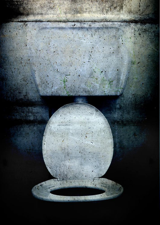Grunge Toilet Wall Mural