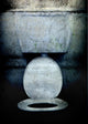 Grunge Toilet Wall Mural