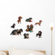 Dachshunds Reunited Different Varieties Wall Mural