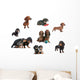 Dachshunds Reunited Different Varieties Wall Mural