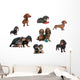Dachshunds Reunited Different Varieties Wall Mural