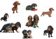 Dachshunds Reunited Different Varieties Wall Mural