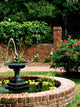 Garden Fountain Wall Mural