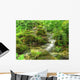 Little Stream Forest Wall Decal