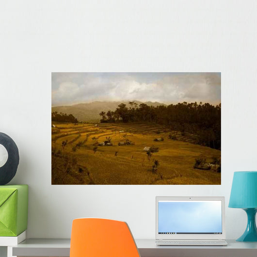 Rice Terraces Landscape Wall Decal