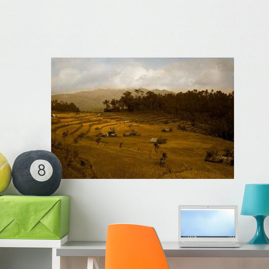 Rice Terraces Landscape Wall Decal