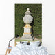 Single Urn against Hedge Wall Mural