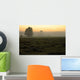 Dawn Wall Decal