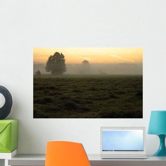 Dawn Wall Decal