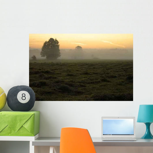Dawn Wall Decal