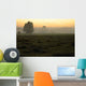 Dawn Wall Decal