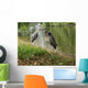 Olympus Digital Camera Wall Mural