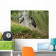 Olympus Digital Camera Wall Mural