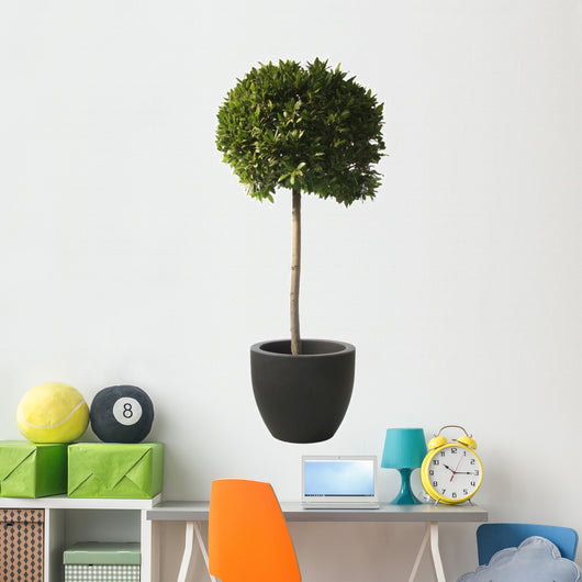 Laurel Plant Spherical Shape Wall Decal