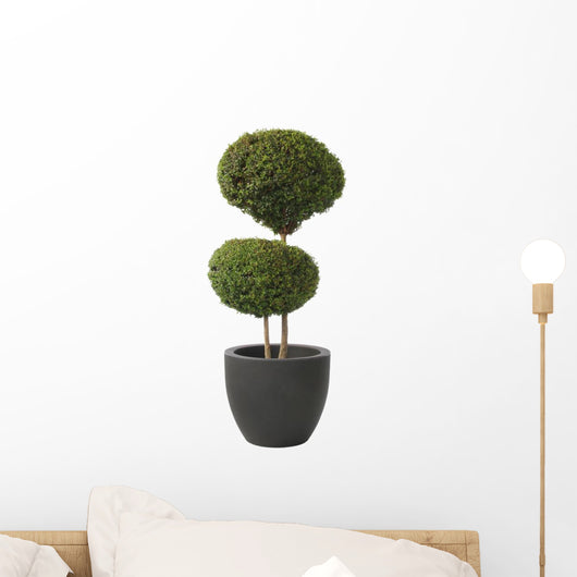 Double Ball-privet Modern Pot Wall Decal