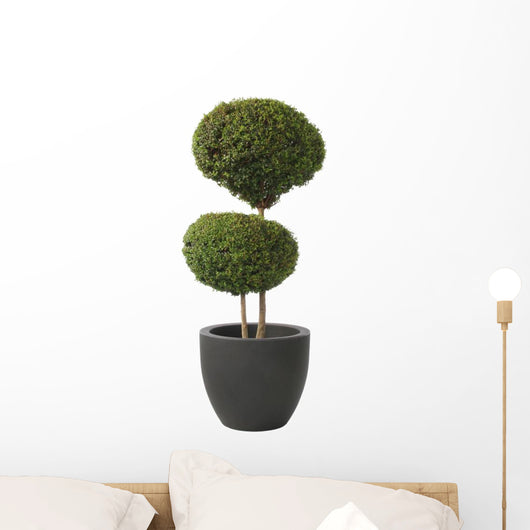 Double Ball-privet Modern Pot Wall Decal