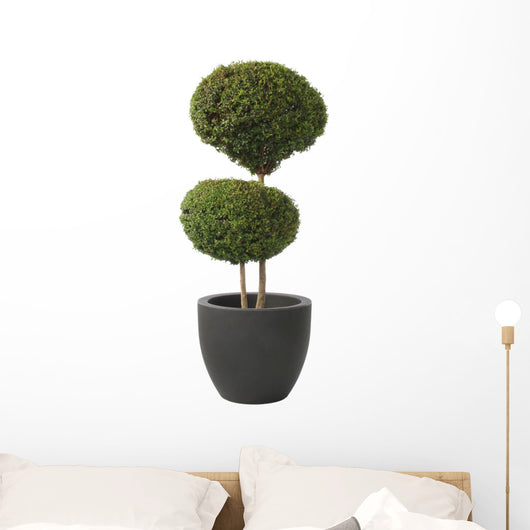 Double Ball-privet Modern Pot Wall Decal