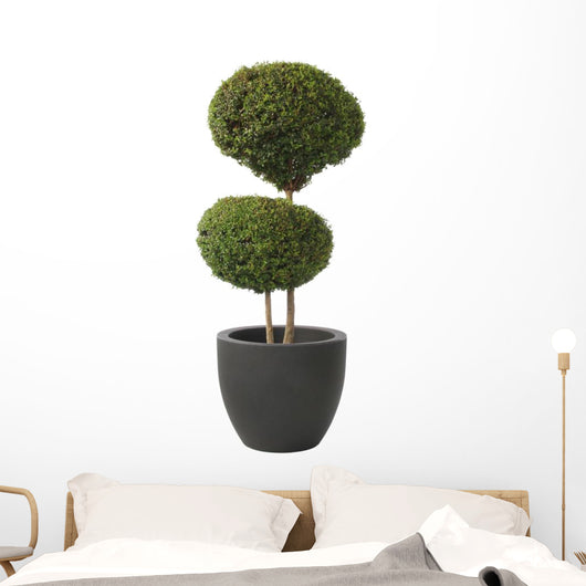 Double Ball-privet Modern Pot Wall Decal