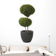 Double Ball-privet Modern Pot Wall Decal