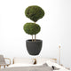 Double Ball-privet Modern Pot Wall Decal