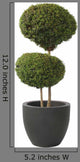 Double Ball-privet Modern Pot Wall Decal