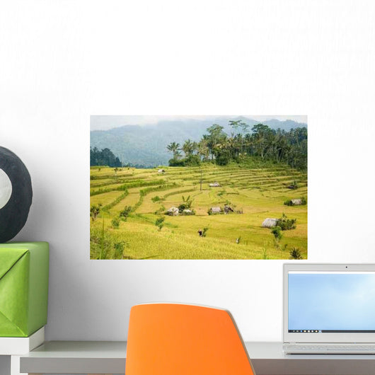 Reisterrassen Wall Decal