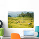 Reisterrassen Wall Decal